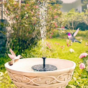 Solar-Powered Water Fountain – NexusQualitystore