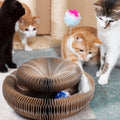CatStory™ Cat toy